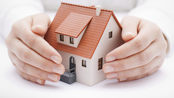 Право собственности на интеллектуальную собственность